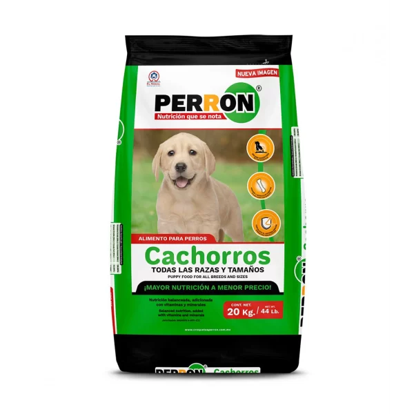 Perron cachorro en orizaba