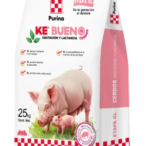Ke Bueno Cerdos - Gestación y Lactancia