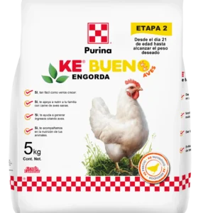 Ke bueno Aves Engorda