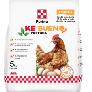 Ke bueno Aves Postura