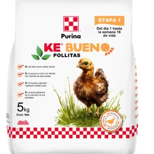 Ke bueno Aves Pollitas