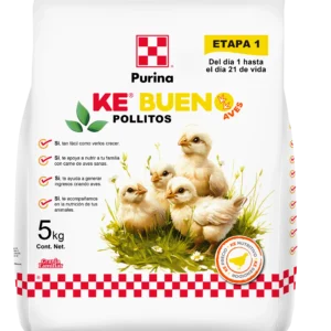 Ke bueno Aves Pollitos