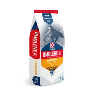 Omolene Fundamental