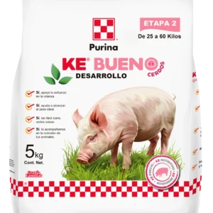 Ke bueno cerdos desarrollo