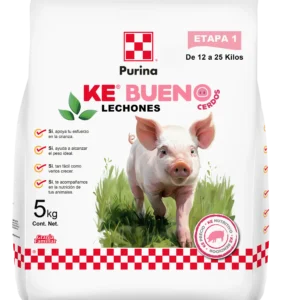 Ke Bueno Cerdos Lechones